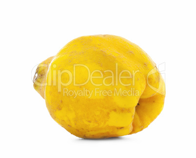 Quince apple on white background