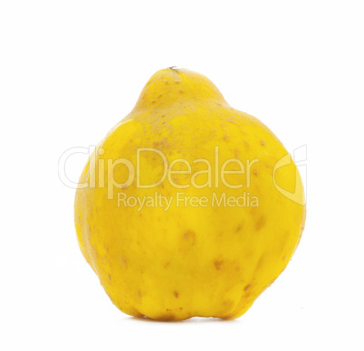 Quince apple on white background