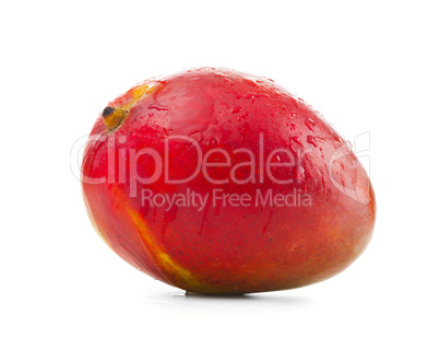 Fresh mango on white background