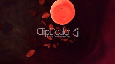 CG Digital Graphic Human Red Blood Cells