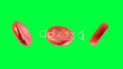 Digital 3D Blood Cells Against Green Screen