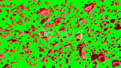 Digital 3D Blood Cells on Green Screen