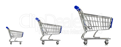 Shopping Cart Three Sizes