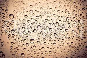 Rain water drops