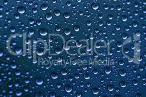 Rain water drops