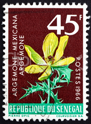 postage stamp senegal 1966 mexican poppy, flowering plant