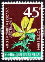 postage stamp senegal 1966 mexican poppy, flowering plant