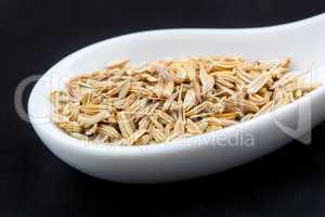 Fennel seeds in the spoon