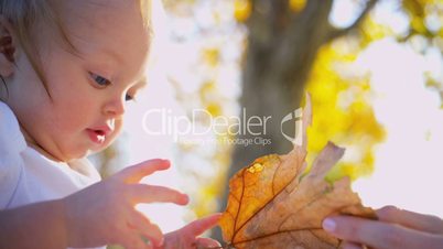 Cute Baby Boy Touching a Leaf