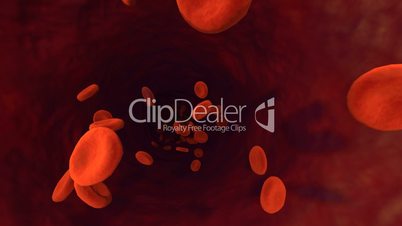 3D Motion Graphic Red Blood Cells