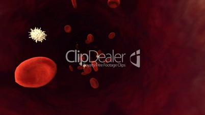 CG Digital Graphic Red and White Blood Cells