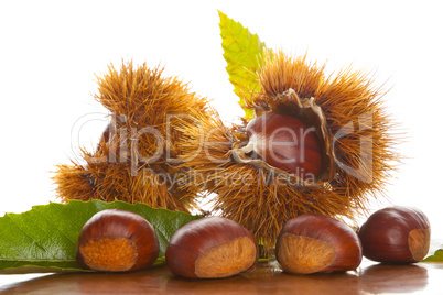 Chestnuts