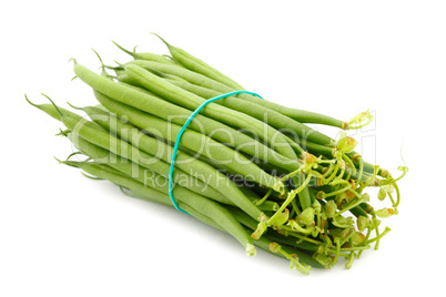 French  Beans