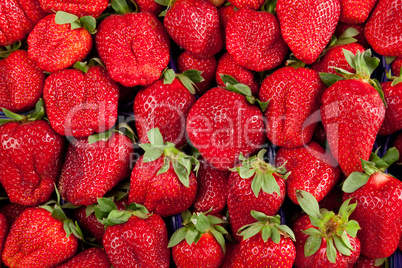 Strawberries in box