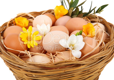 Basket of eggs