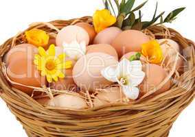 Basket of eggs