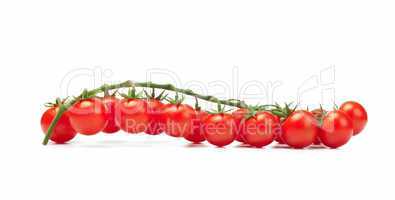 tomatoes pachino