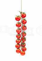 tomatoes pachino