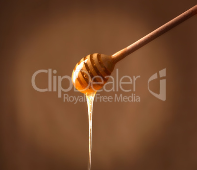 wooden honey dipper