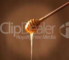 wooden honey dipper