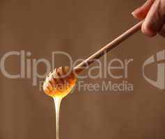 wooden honey dipper