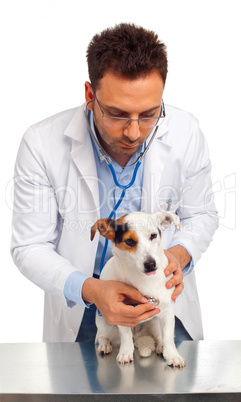 Veterinarian and dog