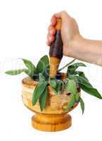 Healing herbs with mortar and pestle