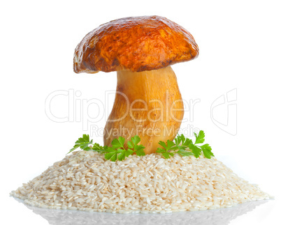 big mushroom with raw rice