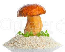 big mushroom with raw rice