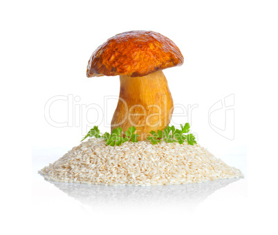 Big mushroom with raw rice