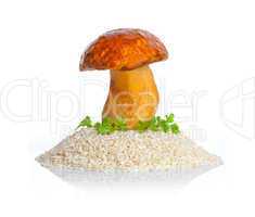 Big mushroom with raw rice