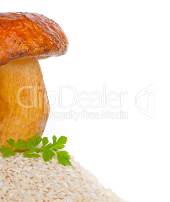 big mushroom with raw rice