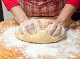 Woman's hands knead dough on wooden table