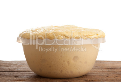Rising Yeast Dough in bowl