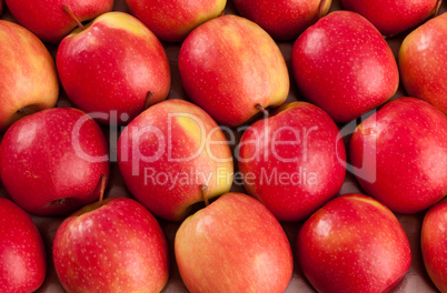 red apples for sale