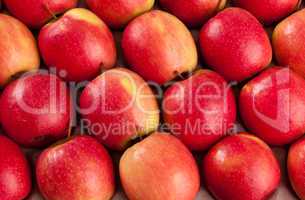 red apples for sale