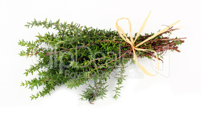 Thyme fresh herb