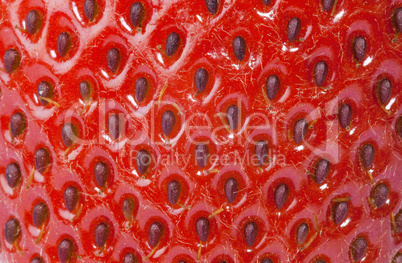 strawberry closeup