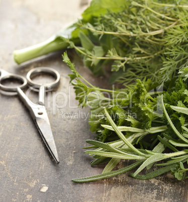 fresh herbs