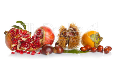 Autumn Fruits