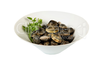 White bowl of clams  with parsley