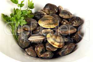 White bowl of clams  with parsley