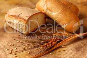 Bread rye spikelets on an old background