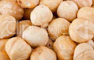 Fresh shelled hazelnuts
