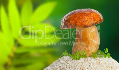 Big mushroom with raw rice