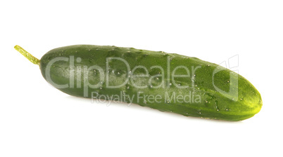 One isolated cucumber