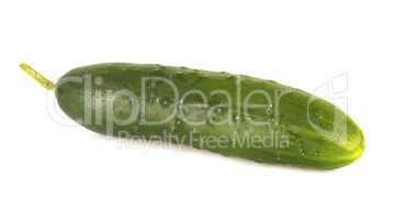 One isolated cucumber