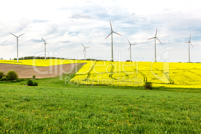 Fields and meadows with wind turbines