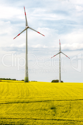 Windmill in blooming canola field