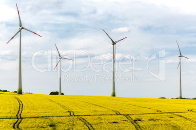 Canola field with wind turbine for energy